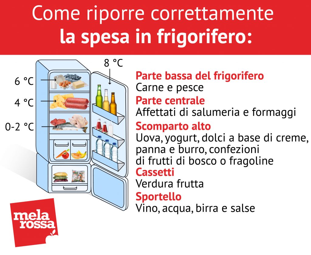 tutti i consigli su come riporre la spesin frigo