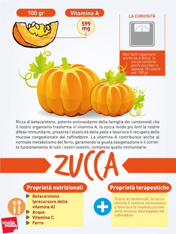 zucca: proprietà nutrizionali