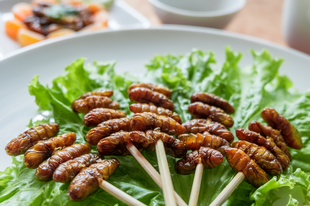 insetti da mangiare: dal 2018 sulla tua tavola