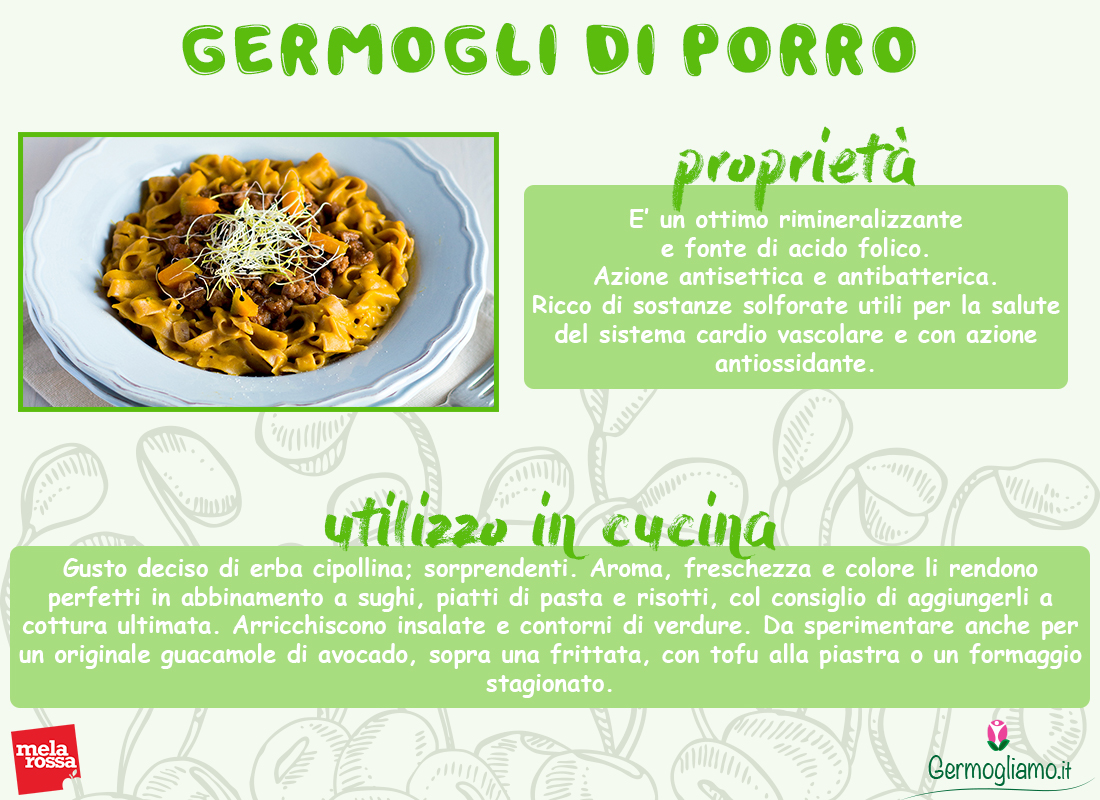 proprietà dei germogli di porro