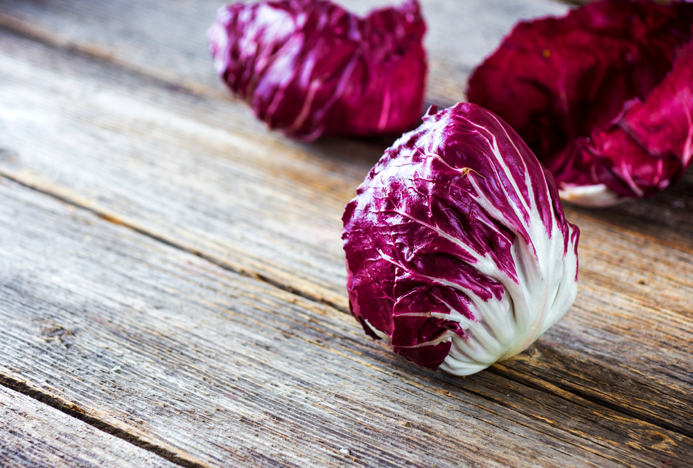 Le tipologie di radicchio.