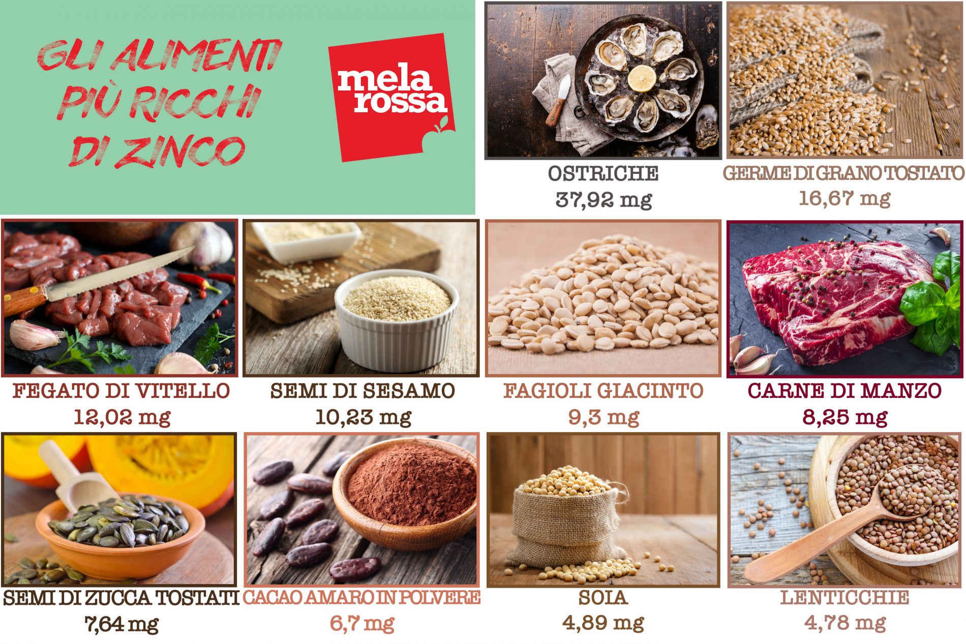 Zinco scopri i benefici di questo minerale per la tua salute Melarossa Zinco scopri i benefici di questo minerale per la tua salute Melarossa