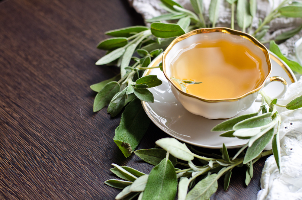 tisana alla salvia