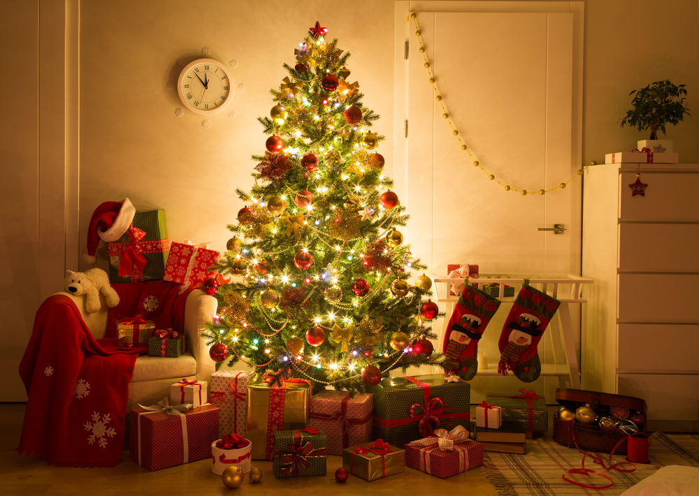 Foto Di Un Albero Di Natale.Albero Di Natale Tutte Le Regole E Consigli Per Scegliere Un Albero Vero