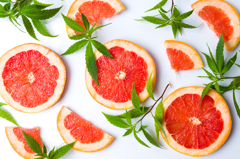 pompelmo buono per la dieta pompelmo buono per la dieta
