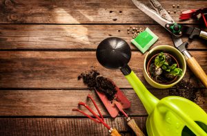 Come creare un orto bio nel tuo giardino