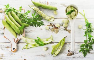 Fave: proprietà, benefici, calorie e le migliori ricette