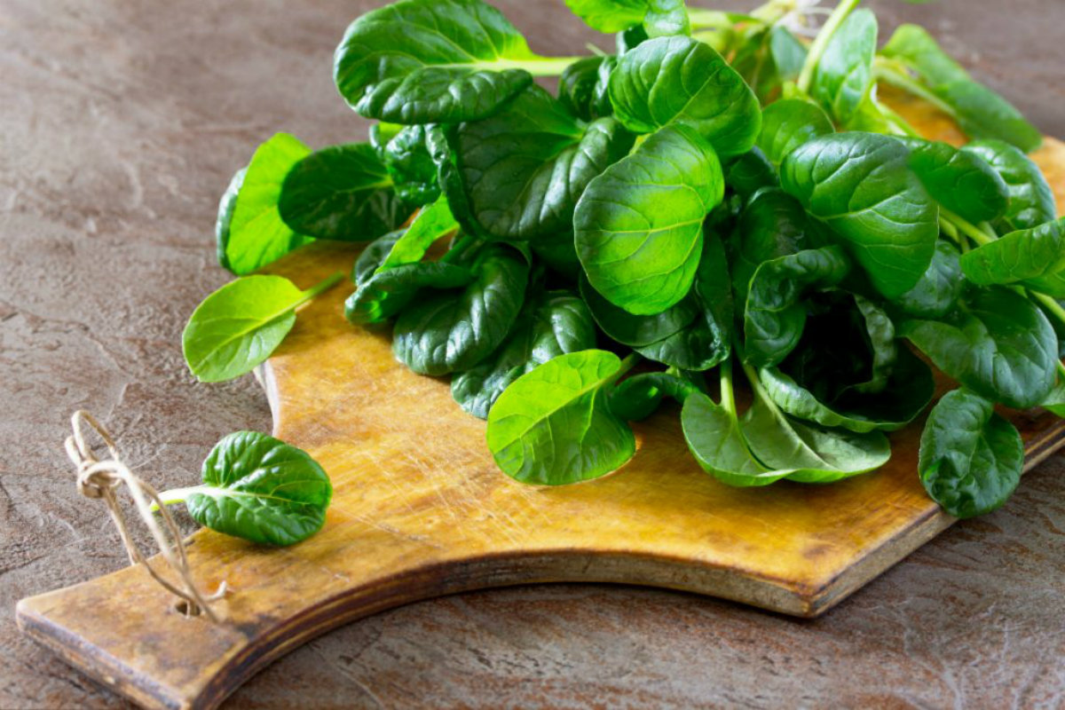 tipi di insalata, spinaci