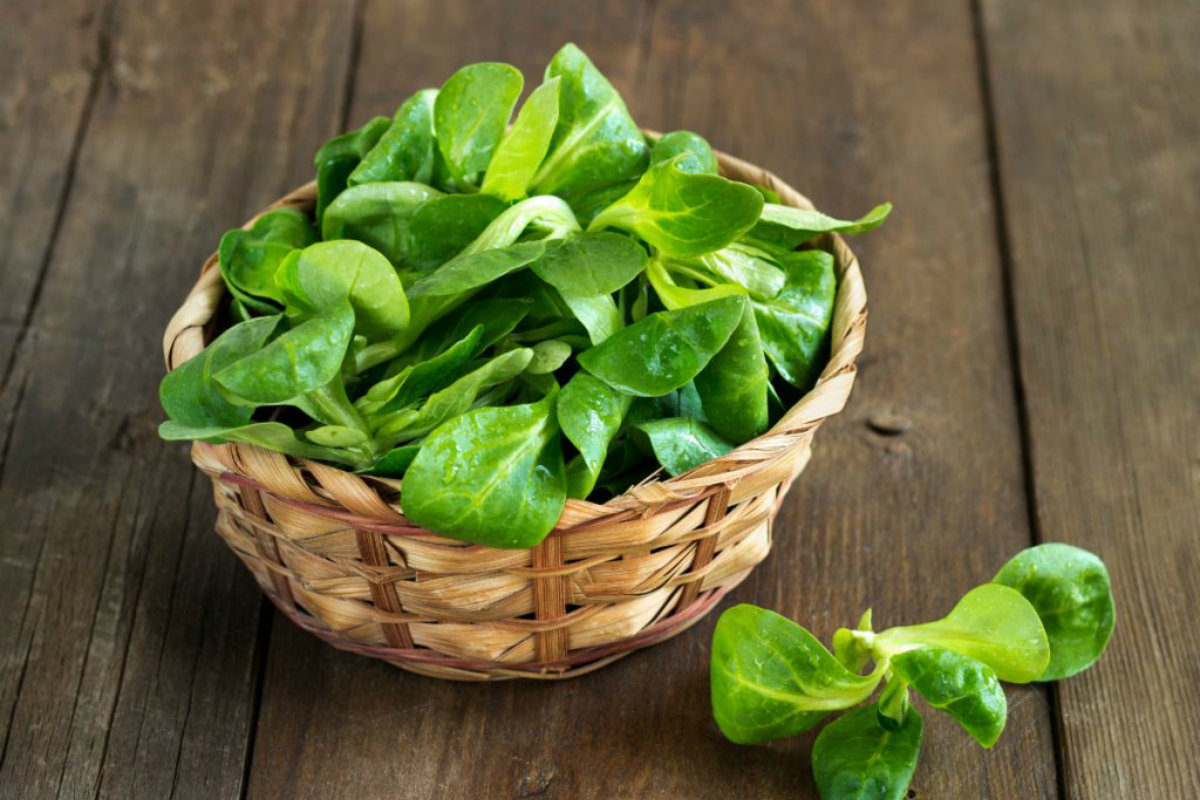 Su tavolo di legno contenitore in legno pieno di insalata valeriana 