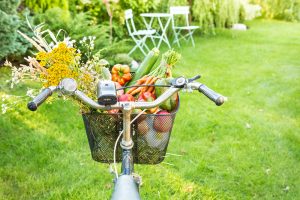 Verdura di stagione: cosa mangiare a maggio