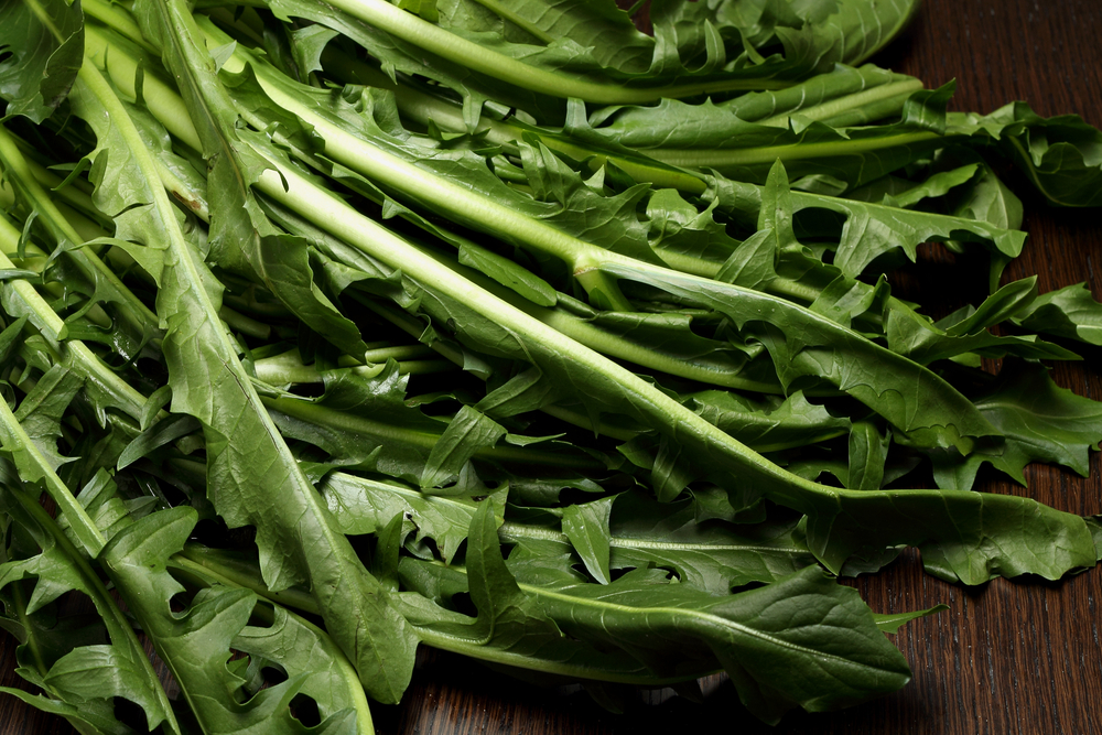 dieta per abbronzatura, la cicoria