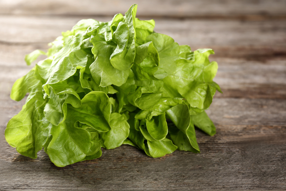 dieta per abbronzatura, lattuga