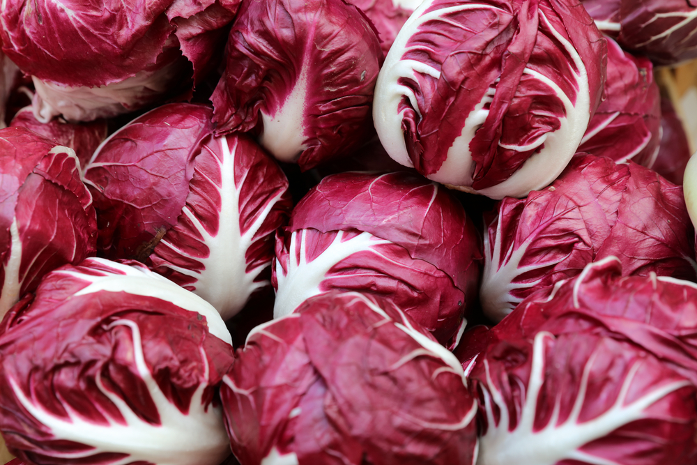 dieta per abbronzatura, il radicchio