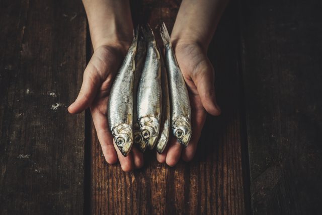 Pesce azzurro: tipologie, proprietà e benefici per la salute