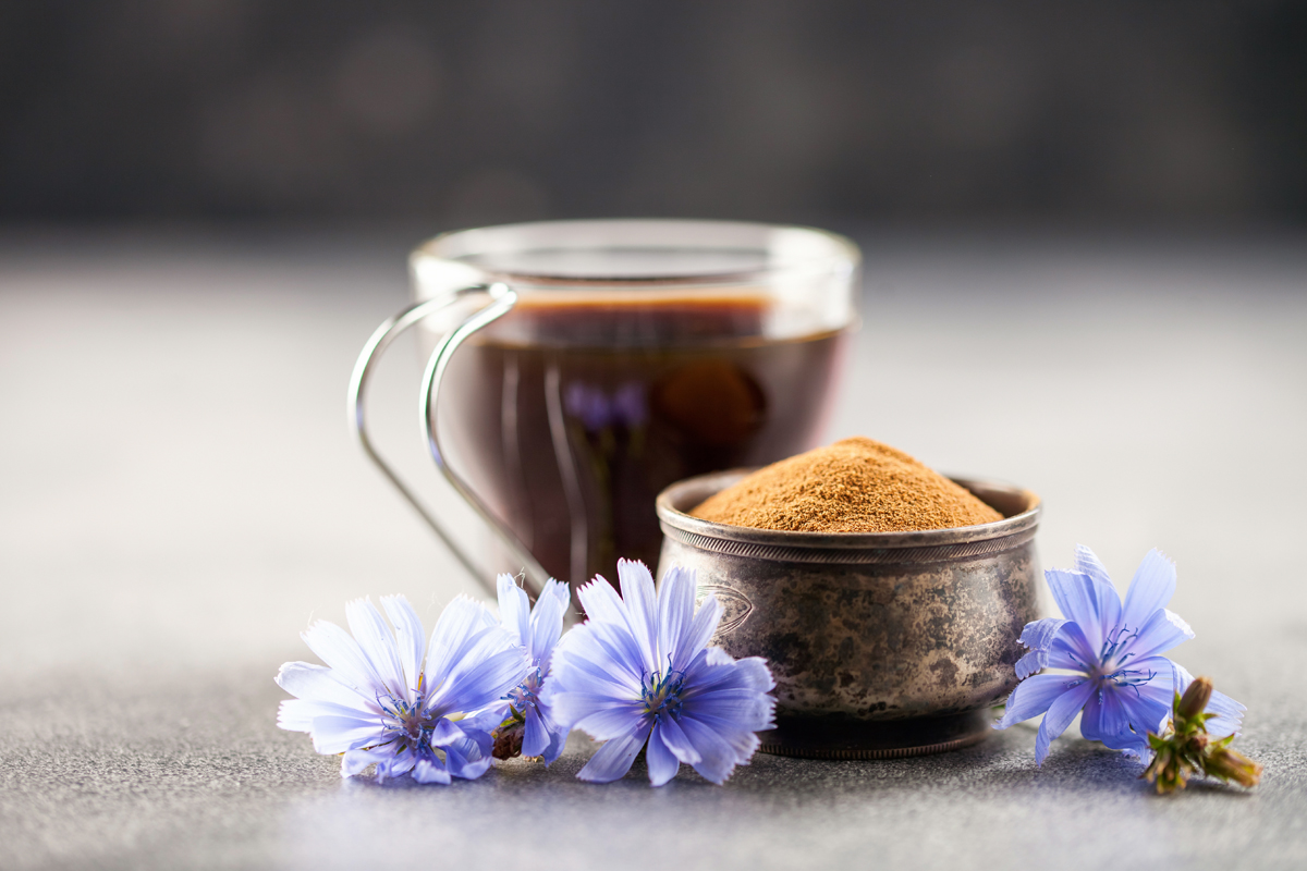caffè cicoria