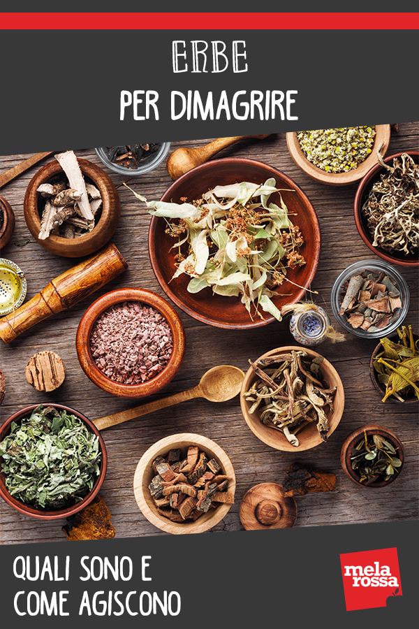 Erbe per dimagrire: pinterest