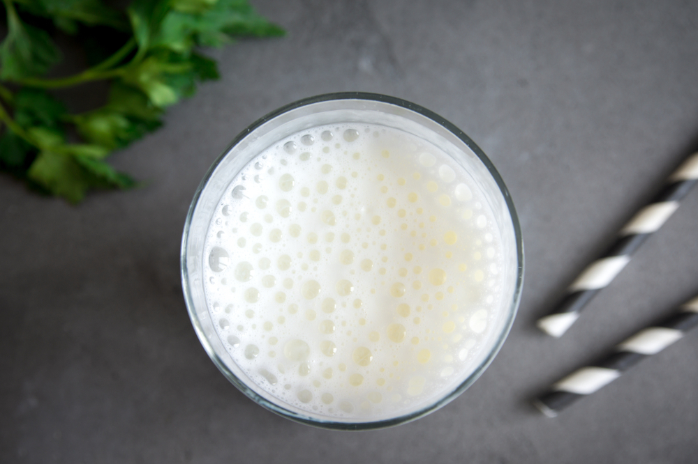 Proteggere la flora intestinale: i probiotici