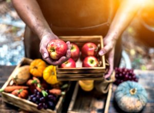 Frutta e verdura di stagione a ottobre: la guida completa