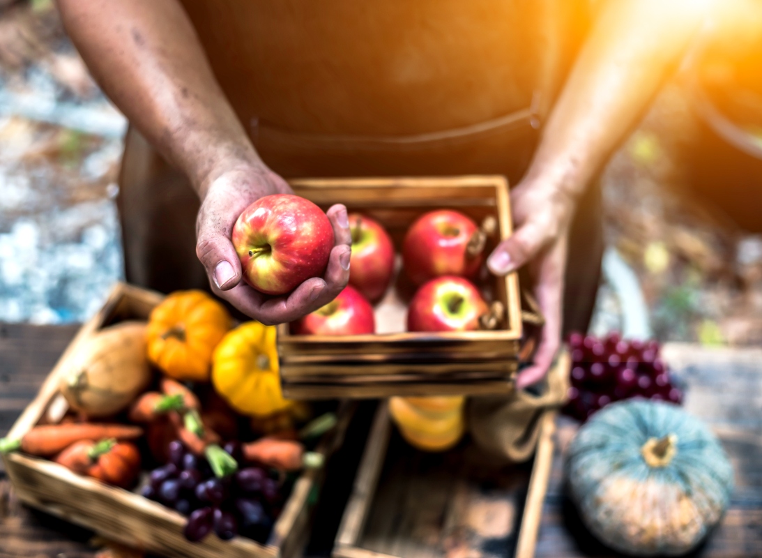 frutta e verdura di stagione: guida completa atunno