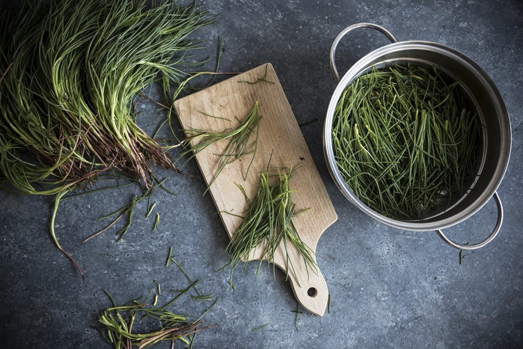 spaghetti agli agretti prima