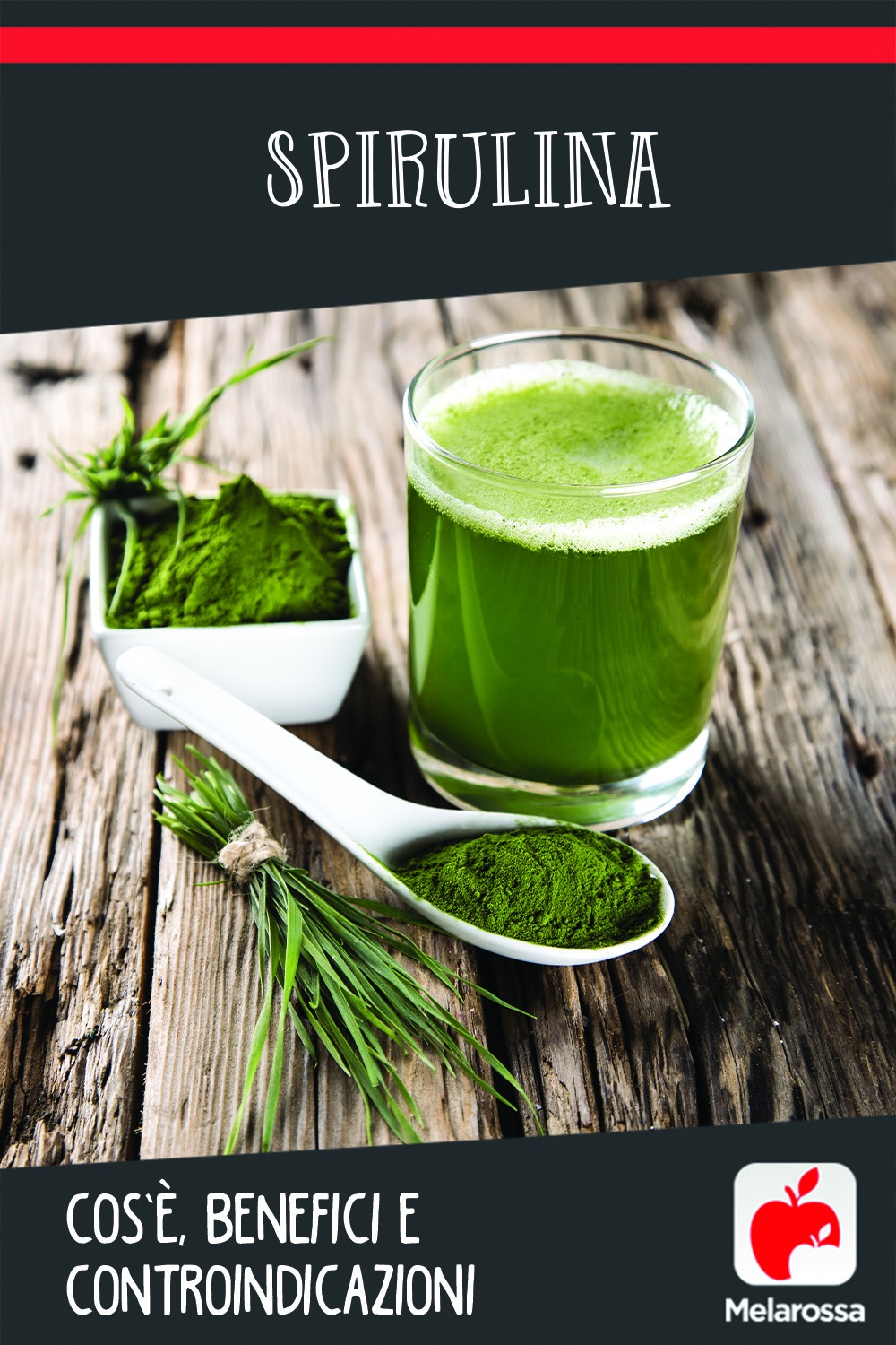 Spirulina: cos’è, benefici e controindicazioni