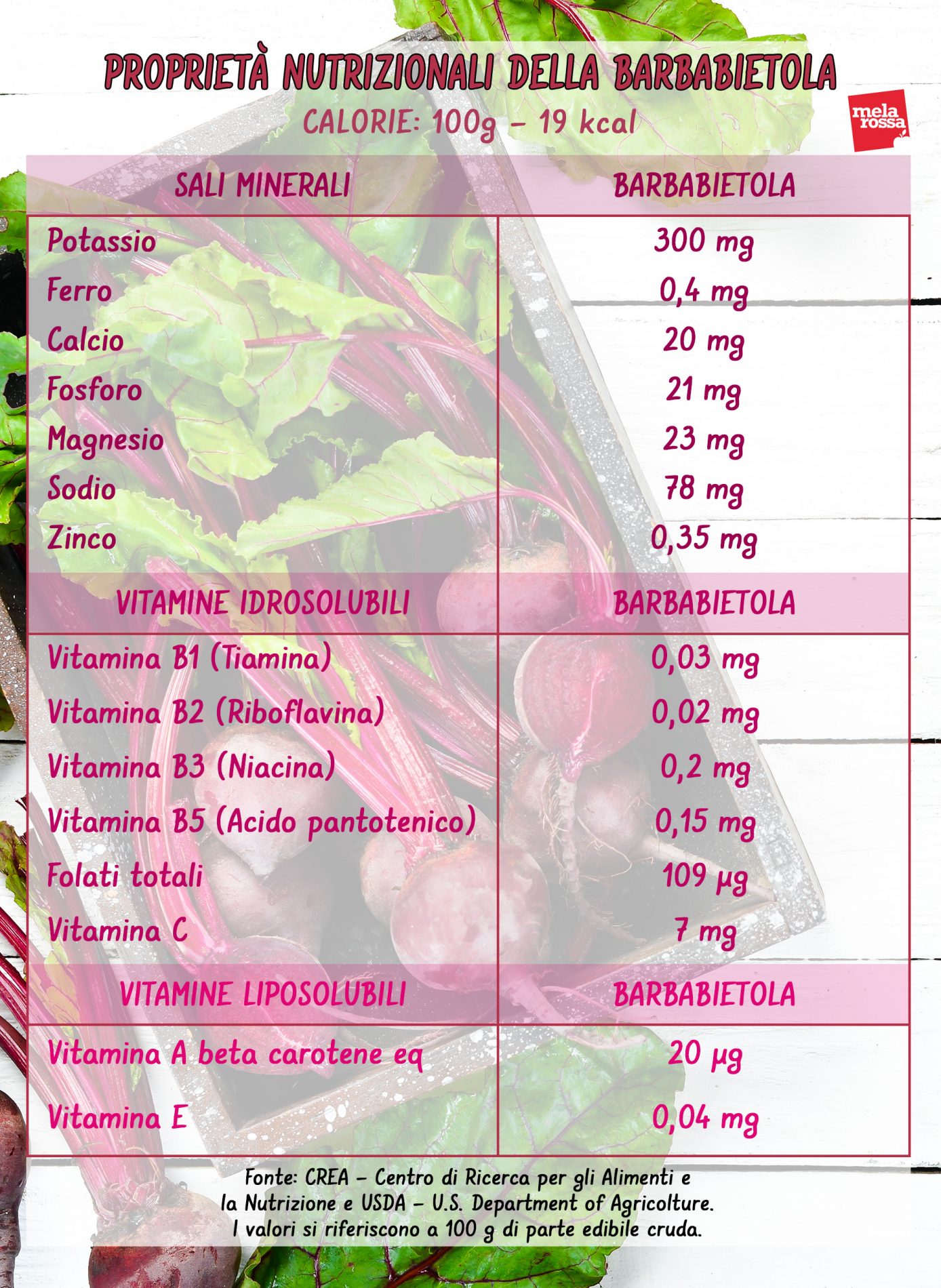 barbabietola rossa proprietà nutrizionali