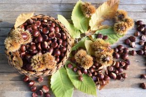 Castagne: valori nutrizionali, calorie e ricette