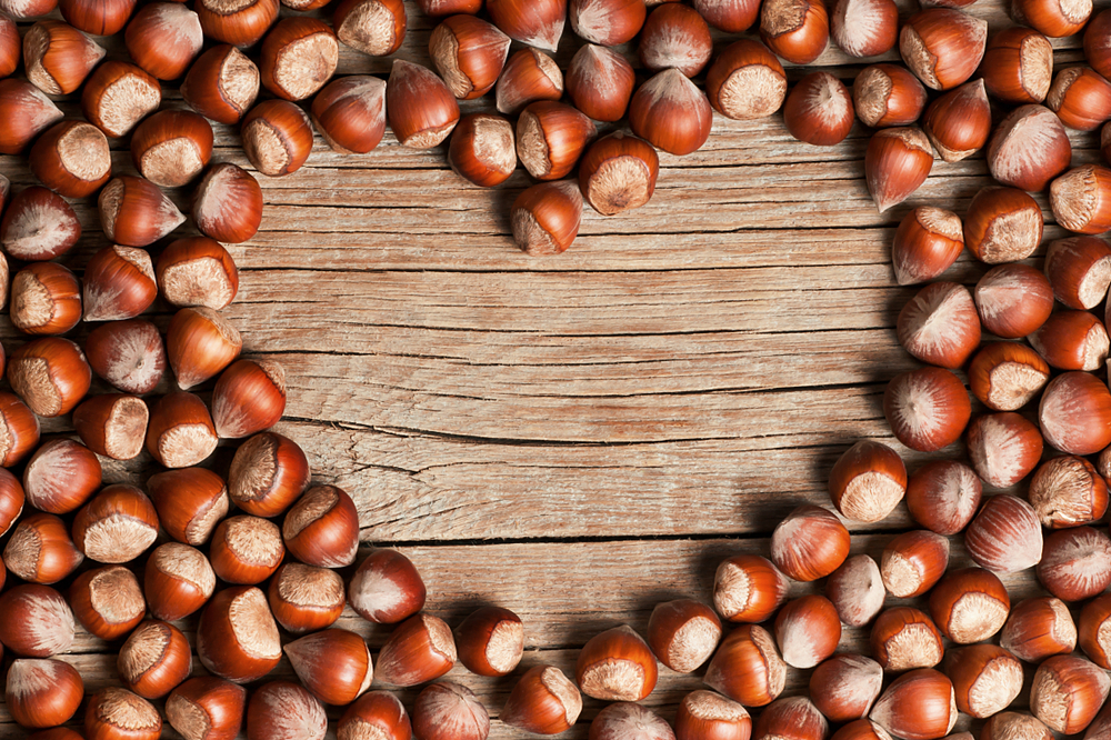 frutta secca, le nocciole