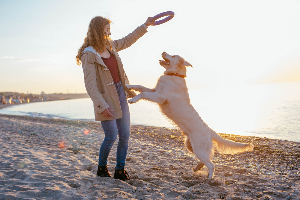 giocare con il cane