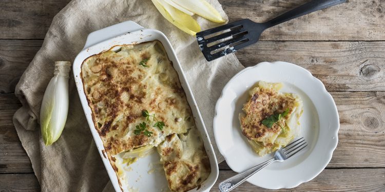 Indivia belga con patate al gratin