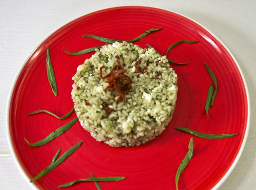 insalata di riso con pesto di dragoncello