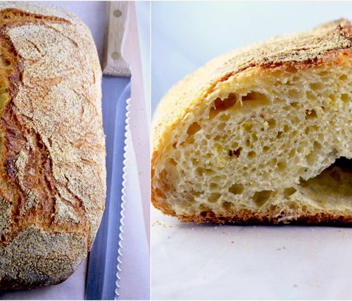 nokneadbread