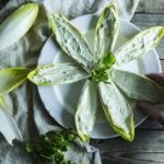 ricetta barchette indivia belga e robiola piatto