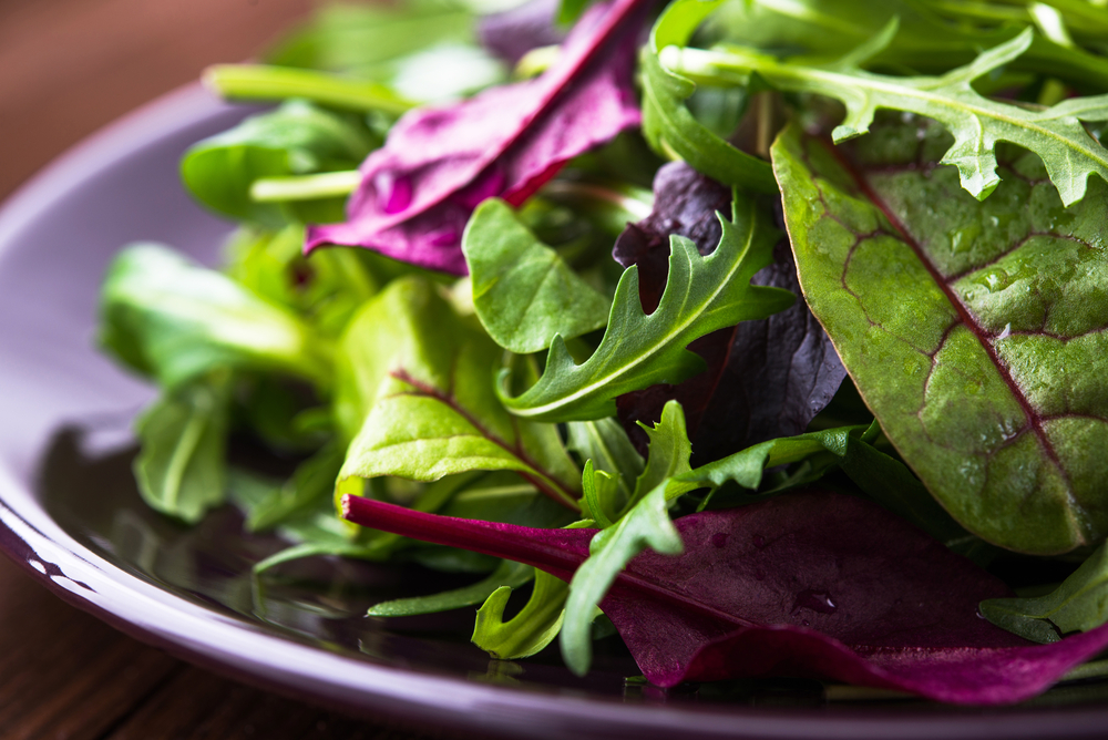 rucola mix