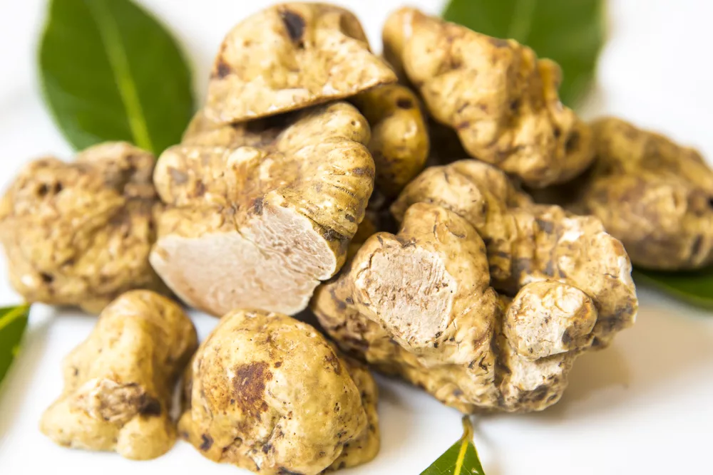 Tartufo Le Proprieta Benefiche E Gli Abbinamenti In Cucina