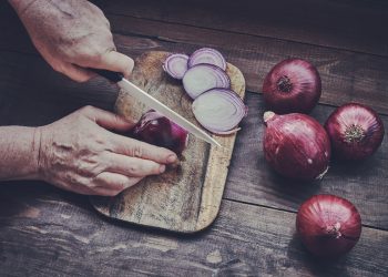 cipolla: che cos'è, proprietà, valori nutrizionali, usi in cucina, le migliori ricette