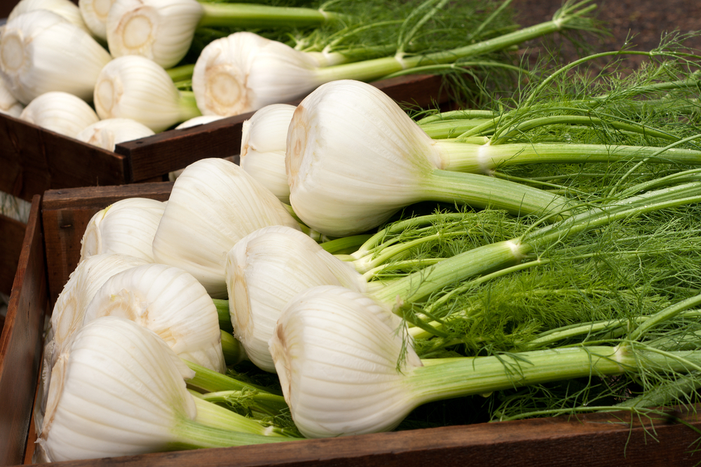 Finocchio mercato