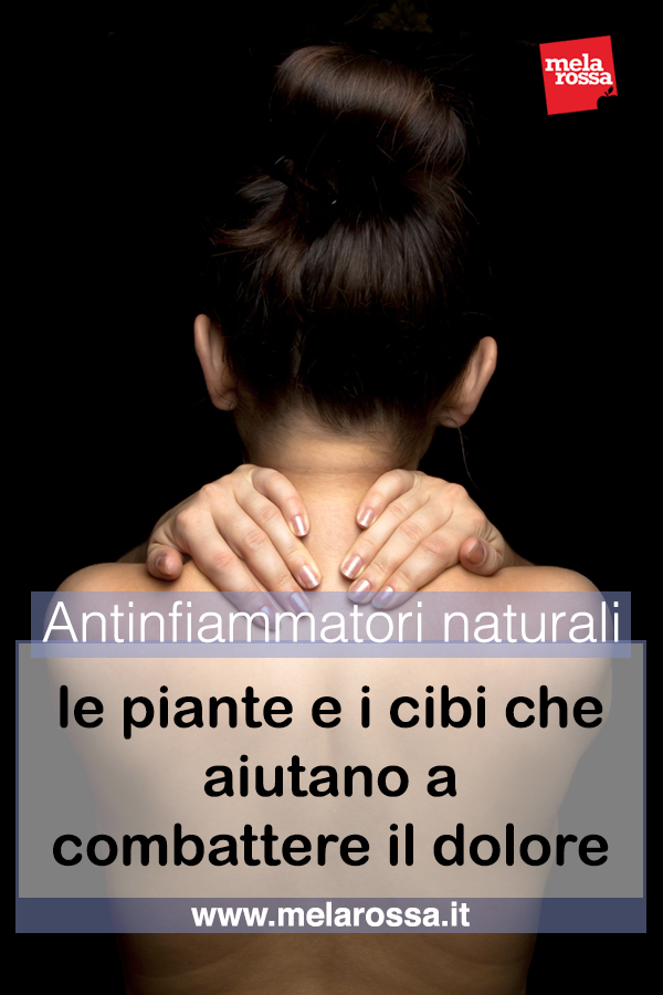 antinfiammatori naturali: piante ecibi per combattere il dolore