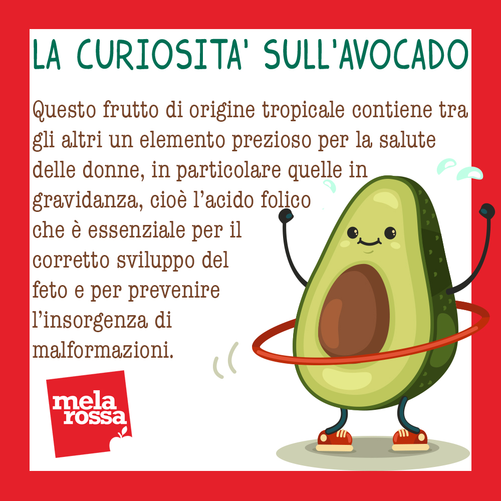avocado: benefici