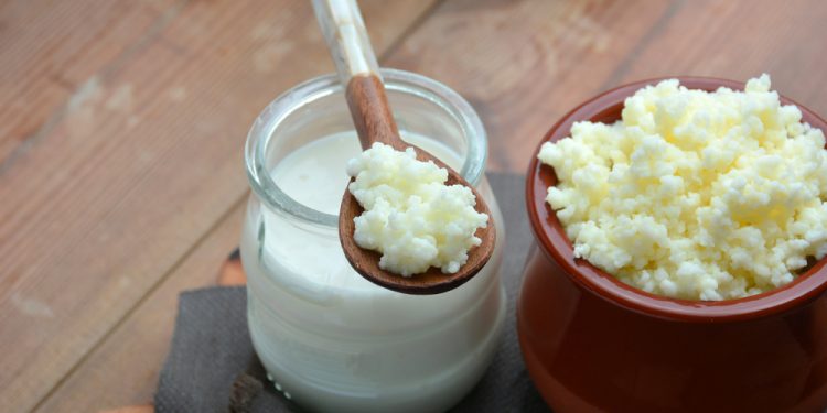 cibi fermentati cosa sono benefici salute