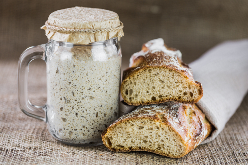 cibi fermentati lievito madre