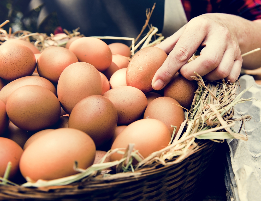 come conservare le uova 