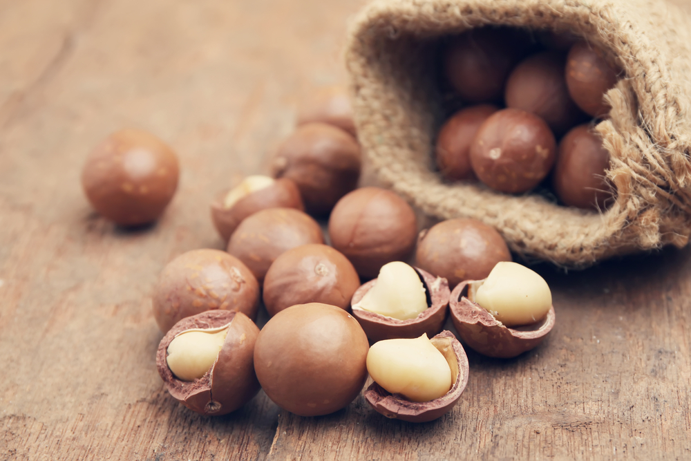 frutta secca, noci di macadamia