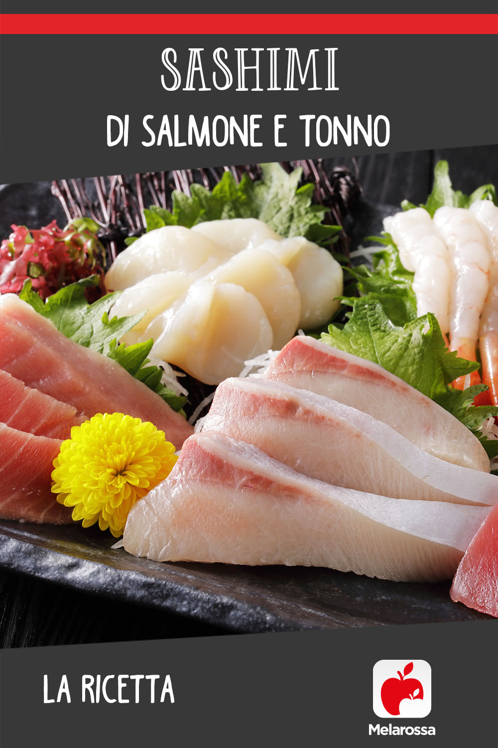 ricetta sashimi di salmone e tonno