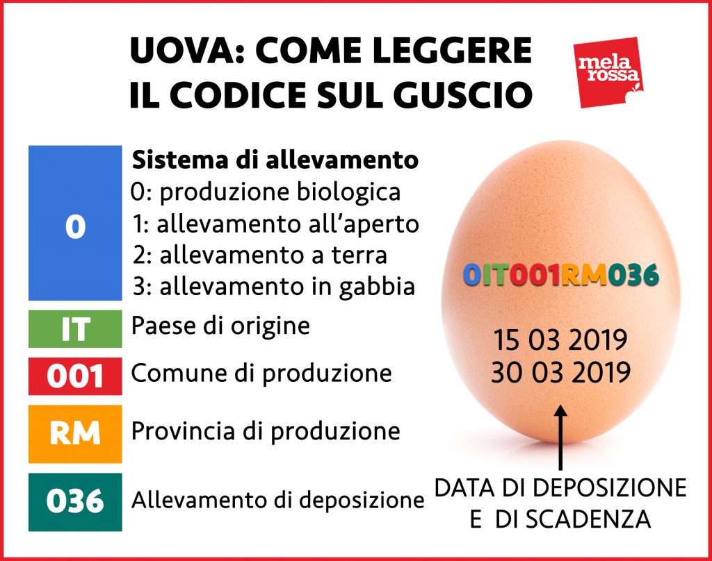 uova come leggere codice sul guscio