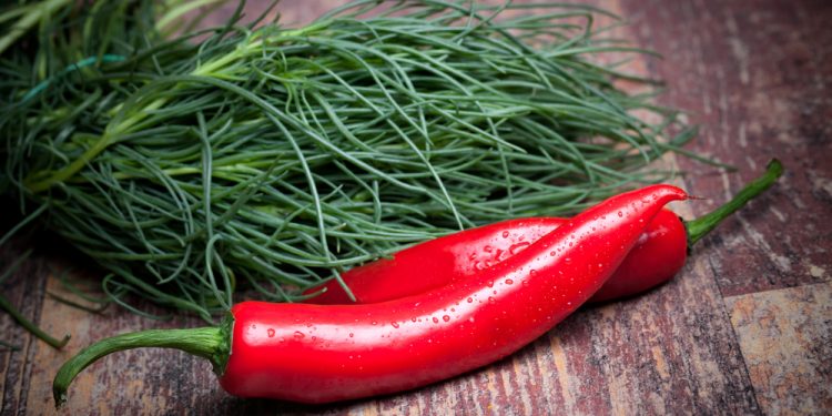 Un mazzetto di agretti crudi con un peperoncino rosso