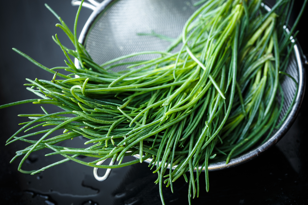 agretti: modalità d'uso