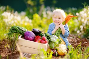 Alimentazione biologica: agricoltura, allevamento, metodi di produzione e benefici