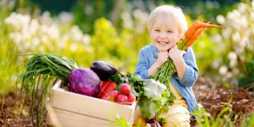 alimentazione biologica agricoltura allevamento benefici