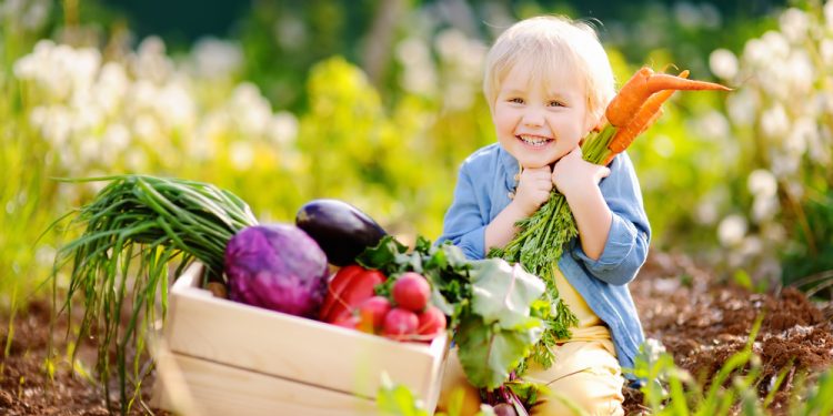 alimentazione biologica agricoltura allevamento benefici